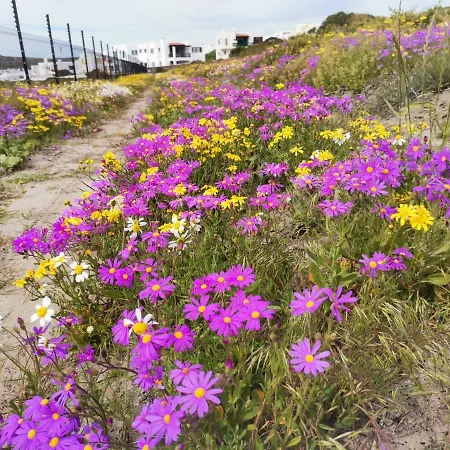 Langebaan Paradise Beach 9 Elara Exterior photo